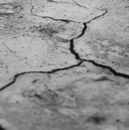 who create culture®